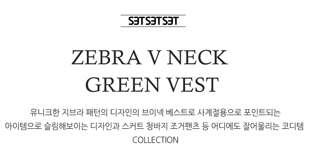 ZEBRA-V-NECK-GREEN-VEST1_155605.jpg