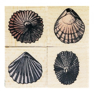 Quatro Littele Shells