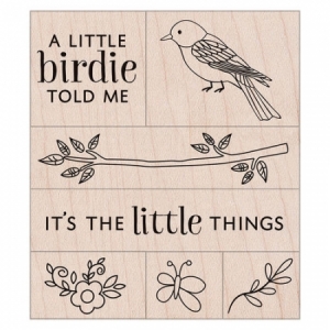 A Little Birdie