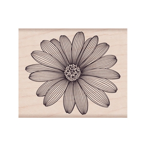 ETCHED DAISY - F5741