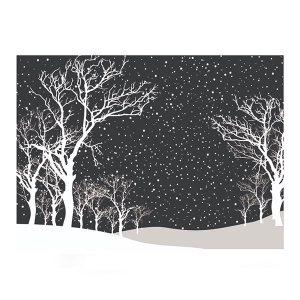 Snowy Night - H5831